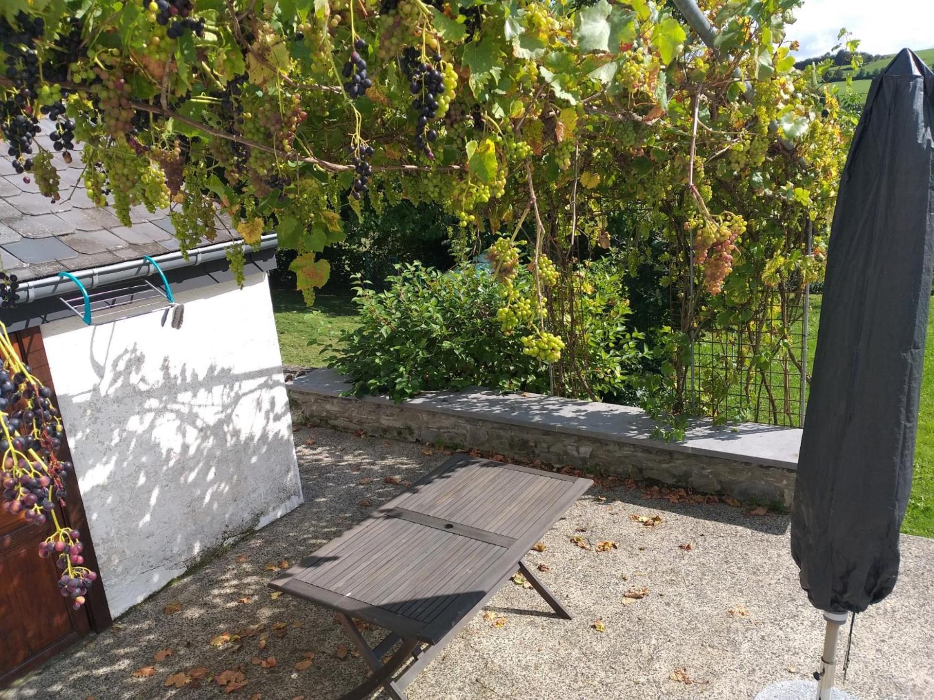 Gite L'Ecole De Ma Mere Villa Bertogne Екстериор снимка