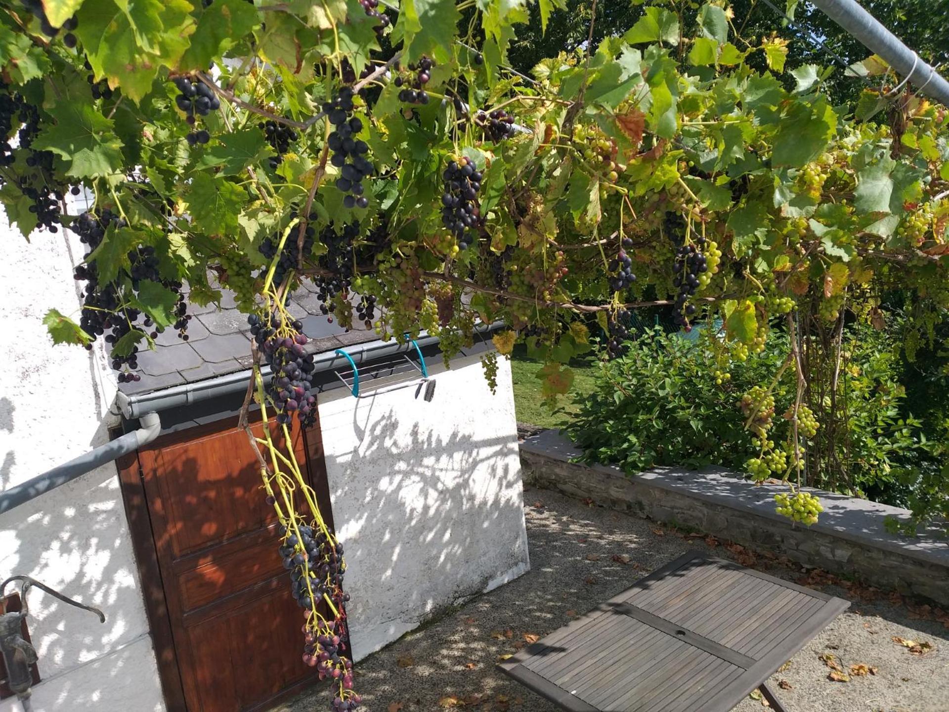 Gite L'Ecole De Ma Mere Villa Bertogne Екстериор снимка